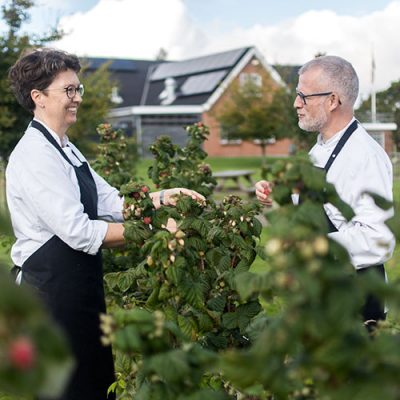 Karen Marie og Klaus Kaalbye plukker bær i haven